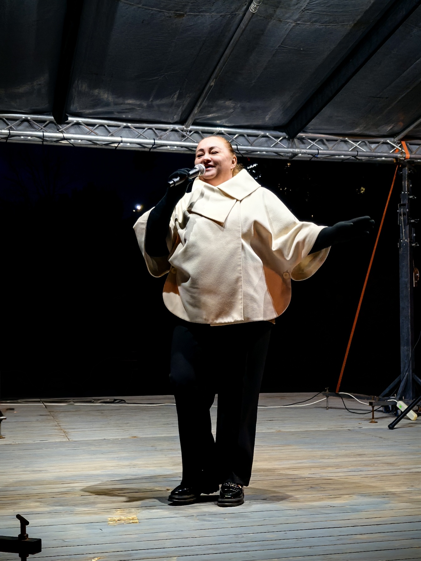 Подробнее о статье Концертная программа на набережной реки Сож