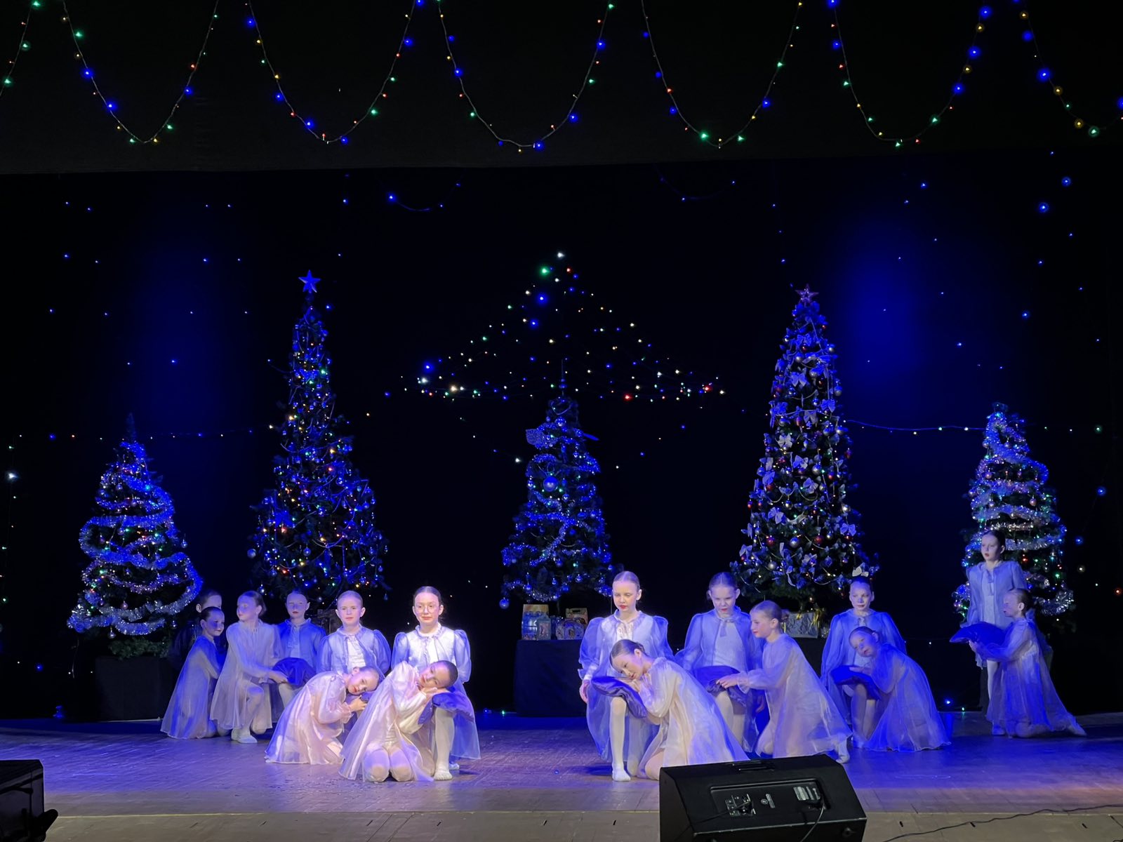 Подробнее о статье ✨Большой Рождественский концерт✨