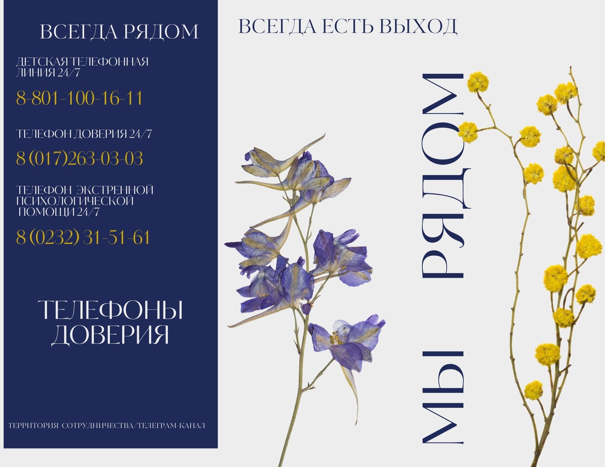 Подробнее о статье Охрана жизни и здоровья несовершеннолетних, профилактика суицидоопасного поведения несовершеннолетних